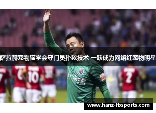 萨拉赫宠物猫学会守门员扑救技术 一跃成为网络红宠物明星 萨拉赫宠物猫学会守门员扑救技术 一跃成为网络红宠物明星