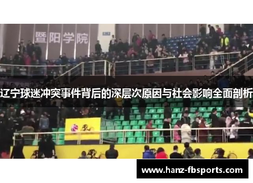 辽宁球迷冲突事件背后的深层次原因与社会影响全面剖析 辽宁球迷冲突事件背后的深层次原因与社会影响全面剖析